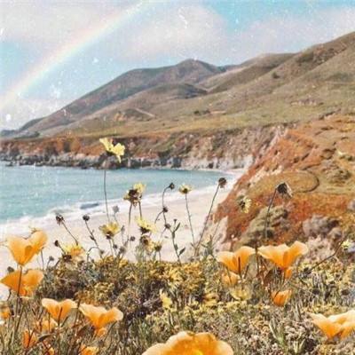 博业体育在线截图